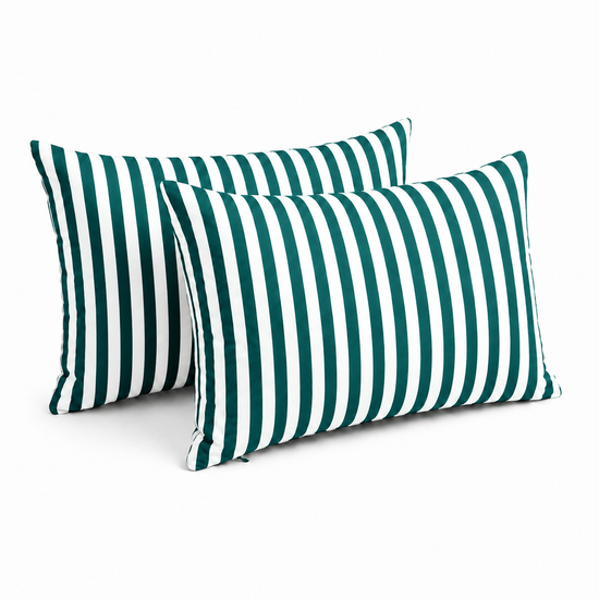 Lot de 2 Coussins d&