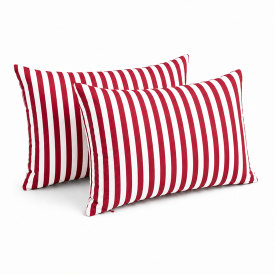 Lot de 2 Coussins d&