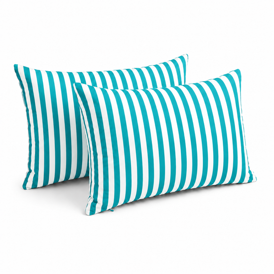 Lot de 2 Coussins d&